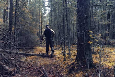 Купить диплом Егеря, лесника в Красногорске